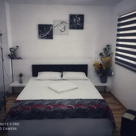 Garsoniera Dragut Apartment