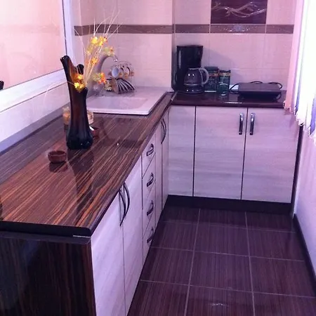 Apartment Garsoniera Dragut